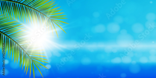 Hintergrund Sonne Meer Palmen
