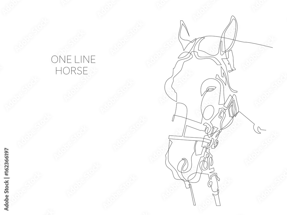 continuous one line horse drawing continuous one line horse drawing