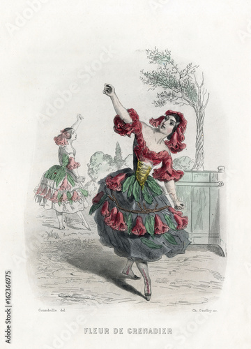 Grandville Pomegranate. Date: 1847 photo