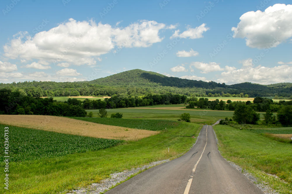 Road in the Farmland