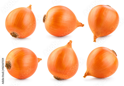 Onion bulb isolated on white background. With clipping path. Full depth of field. Collection.
