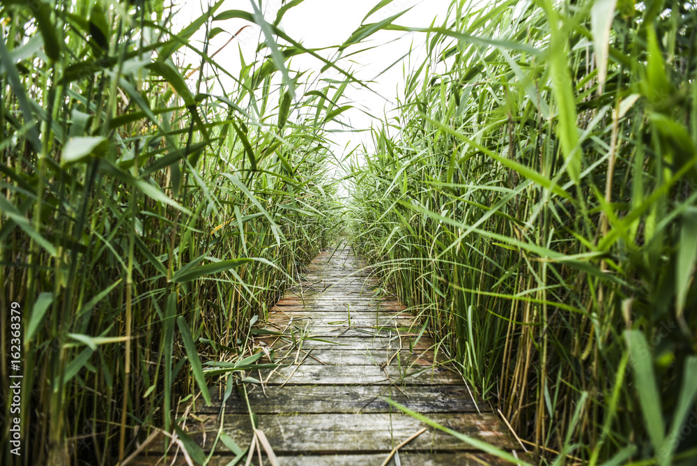 Old, colored wooden bridge in a meadow, summer time, Poland. Old, colored wooden bridge in a meadow, summer time, Poland.