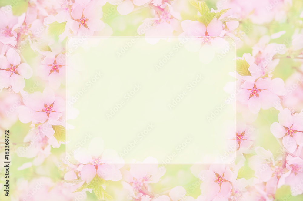 Spring blossom/springtime cherry bloom frame, toned, bokeh flower background, pastel and soft floral card