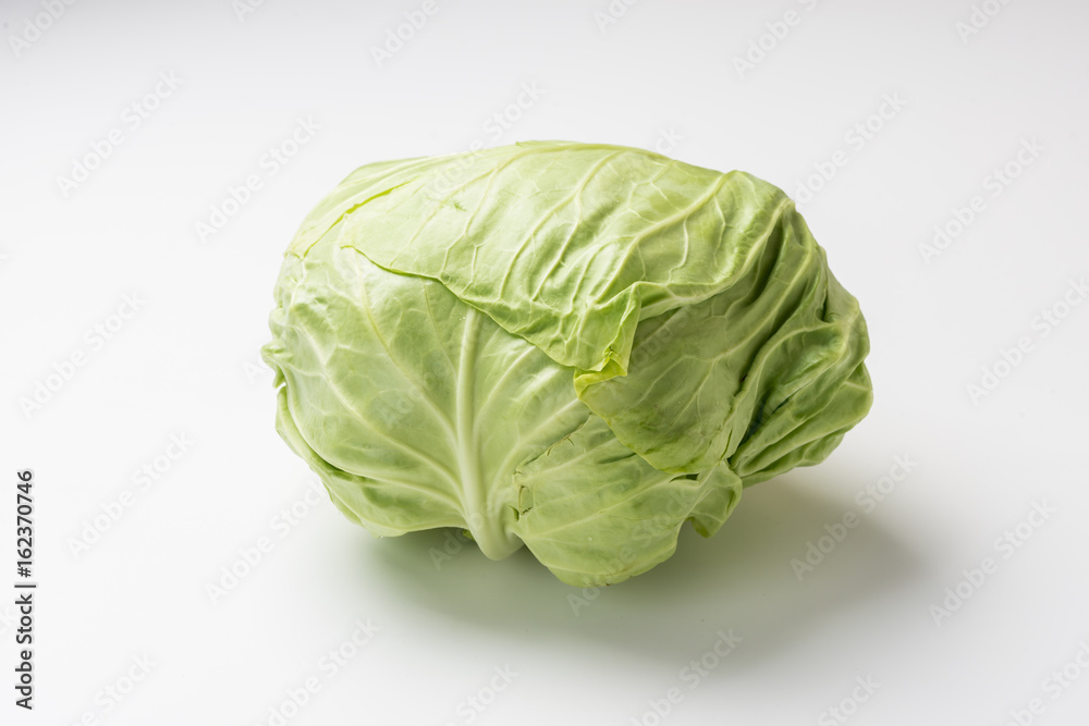 キャベツ キャベツ