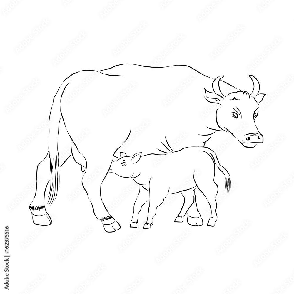 Motherhood. Mother And Child. Cow And Calf Outline Vector Silhouette