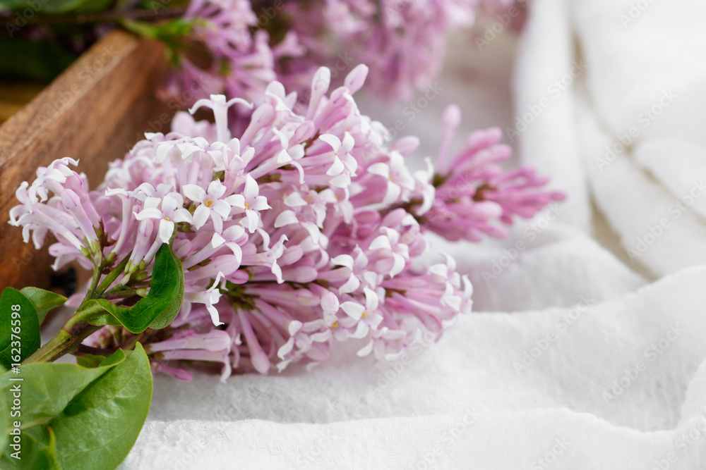 Close-up of lilac flowers on a table