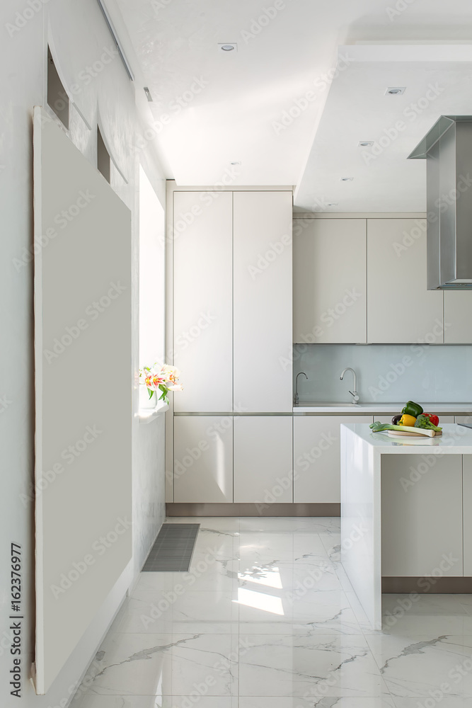 Fototapeta premium Kitchen in modern style