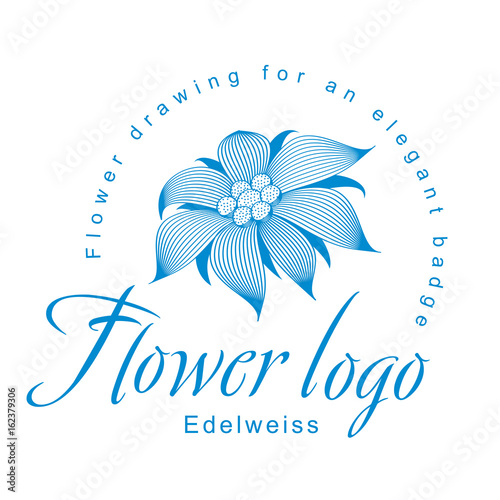 Fototapeta Naklejka Na Ścianę i Meble -  Edelweiss is a logo template, a flower for an elegant corporate identity with symbol of an open edelweiss flower, a water lily, a lotus or other abstract floret.
