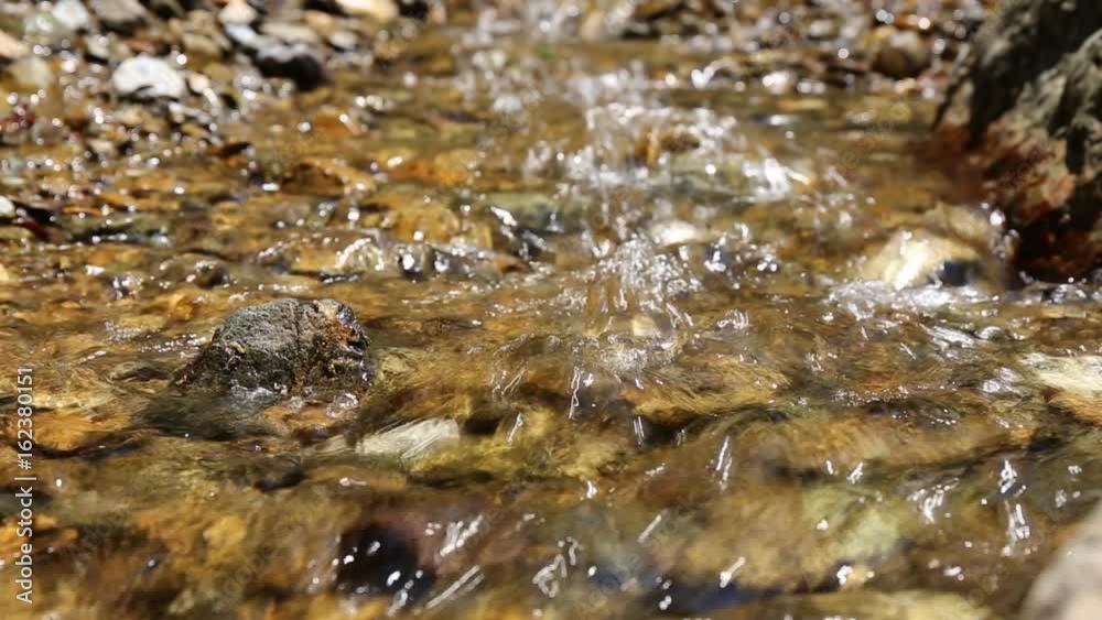 small stream in the garden where the water flows through the rocks. small stream in the garden where the water flows through the rocks.