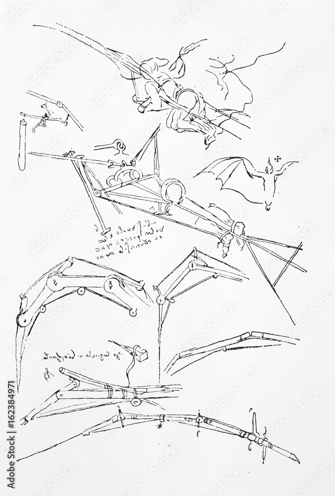 Fototapeta premium Leonardo Sketches. Date: circa 1500