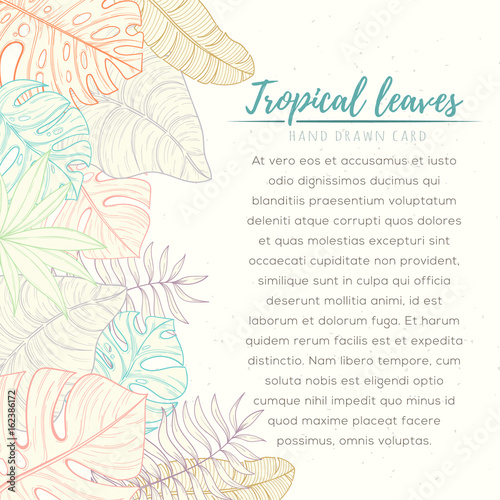 Hand drawn tropical palm leaves card