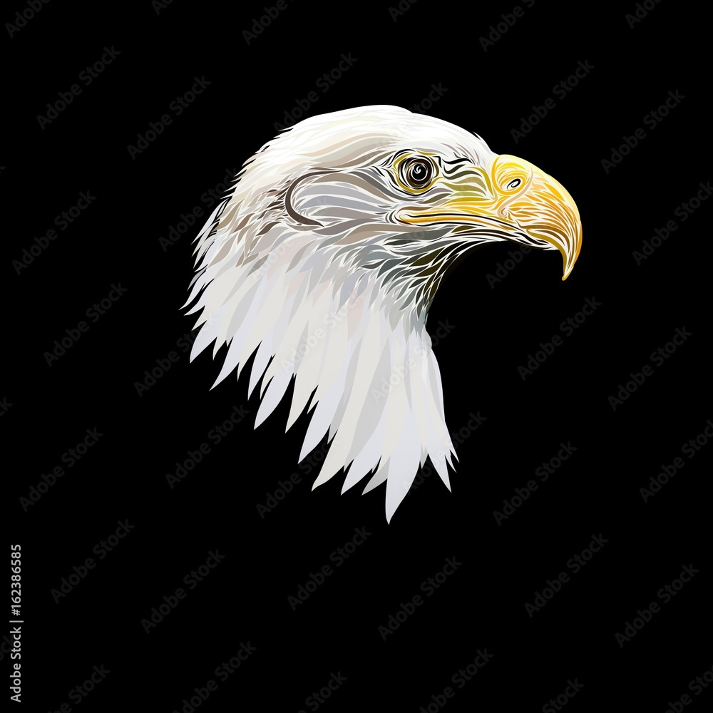 Fototapeta premium Head of the majestic eagle, painted with graceful lines, on a black background 