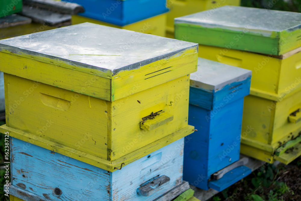 Close-up of colorful bee hives in the forest shot in the summer. Concept of beekeeping. Bio honey. Shallow depth of focus. Close-up of colorful bee hives in the forest shot in the summer. Concept of beekeeping. Bio honey. Shallow depth of focus.