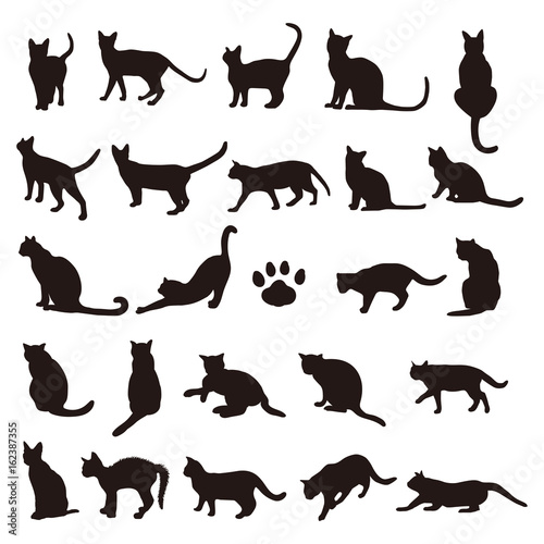 Fototapeta Naklejka Na Ścianę i Meble -  set of cats silhouette