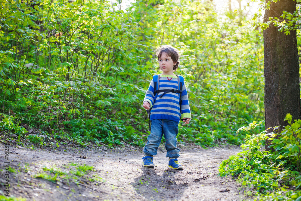 A child walks through the woods. A child walks through the woods.