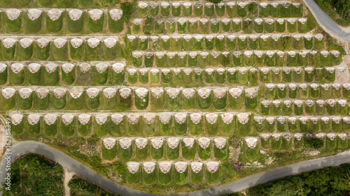 Chinese tombs photo