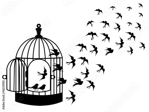 Vector silhouettes : a flock of birds flying, crows, swans.vector bird cages illustrator
