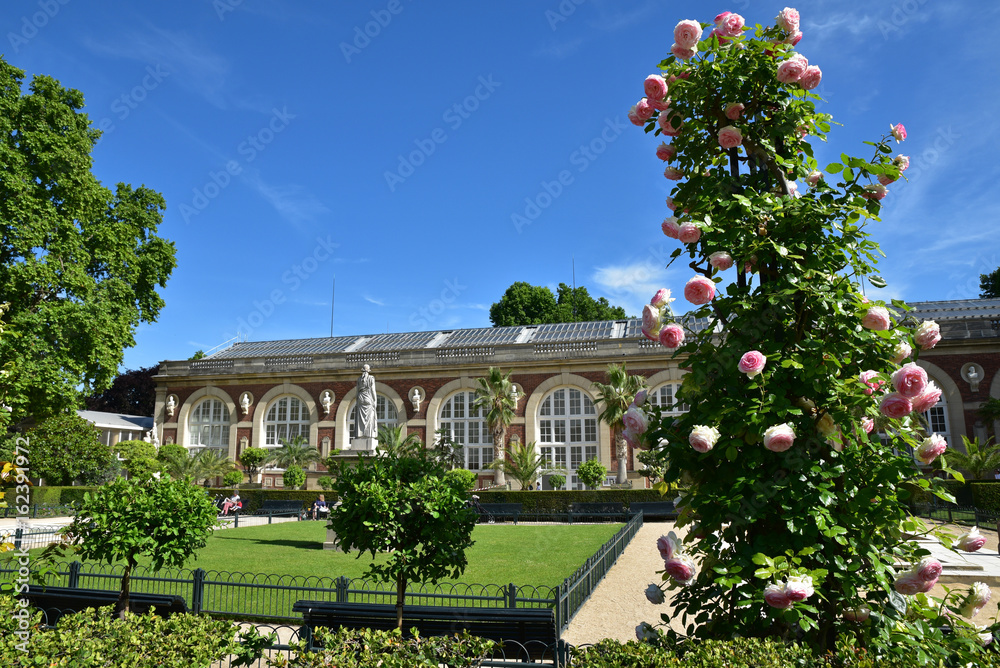 Orangerie du jardin du Luxembourg à Paris