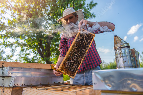 Beekeeper checking beehives