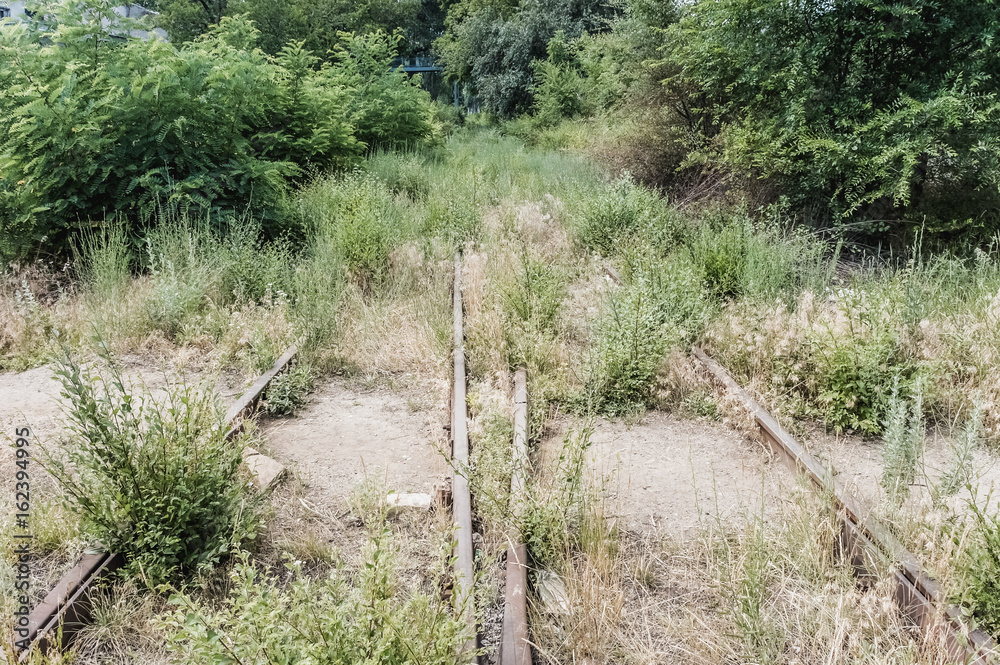 Fragment of an old overgrown abandoned railway Fragment of an old overgrown abandoned railway