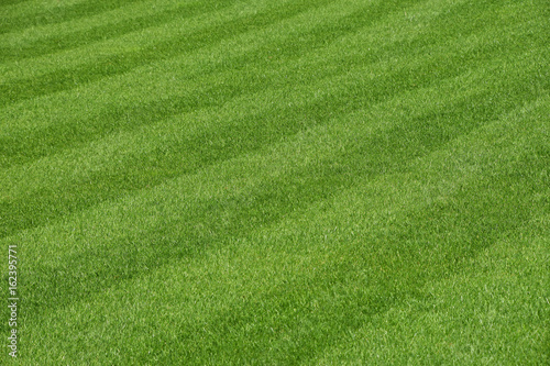 Fotografia Green fresh grass lawn of football field