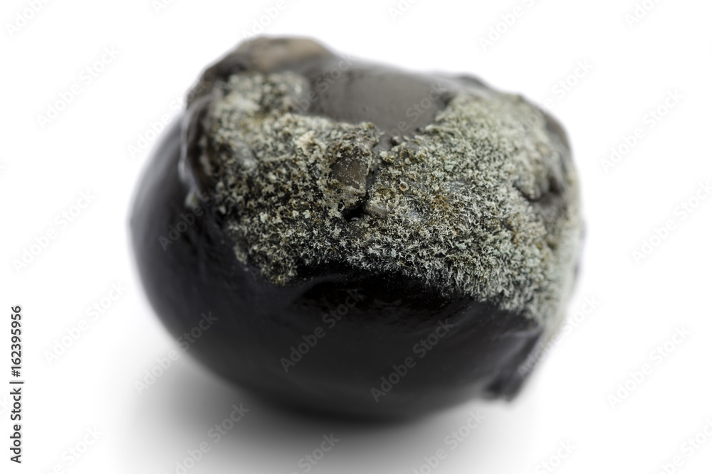 Moldy Black Olive Close-up Stock Photo | Adobe Stock