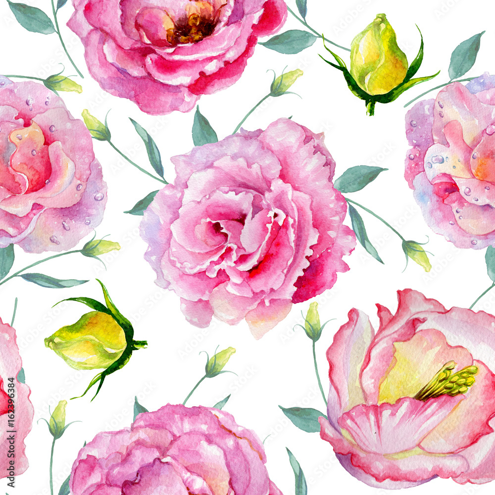 Wildflower rose pattern flower in a watercolor style isolated. Full name of the plant: rose. Aquarelle wild flower for background, texture, wrapper pattern, frame or border.