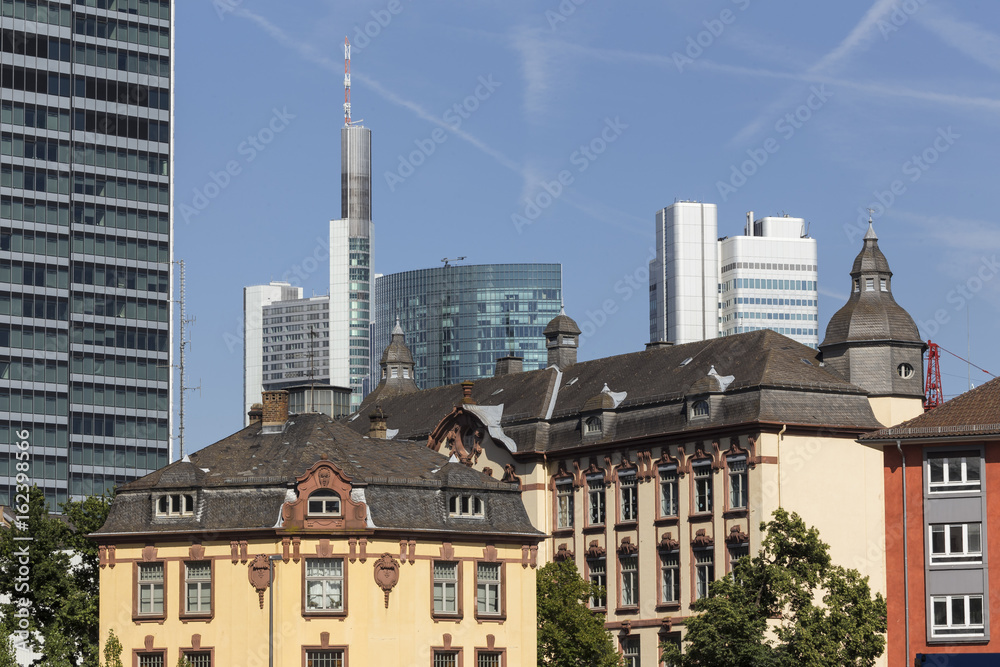 frankfurt germany cityscape in the summer