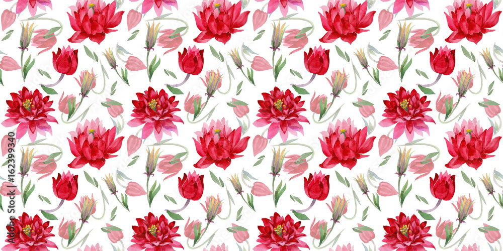 Wildflower Aquilegia flower pattern in a watercolor style isolated. Full name of the plant: Aquilegia. Aquarelle wild flower for background, texture, wrapper pattern, frame or border. Wildflower Aquilegia flower pattern in a watercolor style isolated. Full name of the plant: Aquilegia. Aquarelle wild flower for background, texture, wrapper pattern, frame or border.