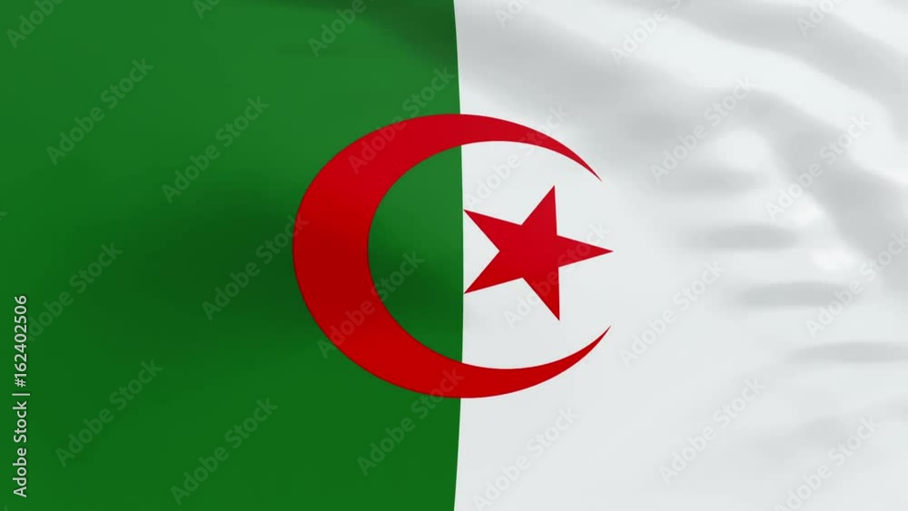 High quality looped animation of a patriotic flag of Algeria in the wind. You can easily integrate it into your own compositions. Ideal for sport events, led screen, international competitions High quality looped animation of a patriotic flag of Algeria in the wind. You can easily integrate it into your own compositions. Ideal for sport events, led screen, international competitions