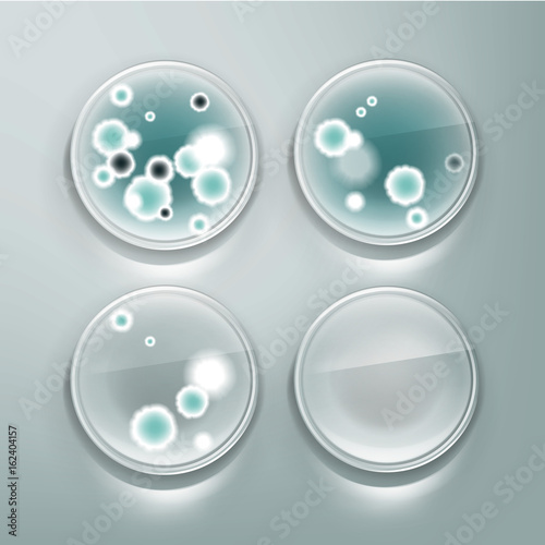 Petri dish with molds