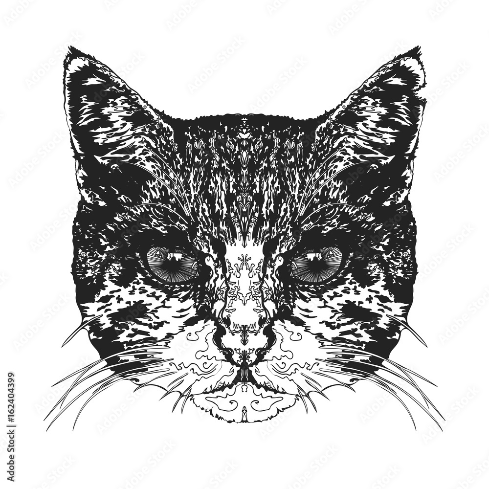 Obraz premium Cat's head. Vector illustration.