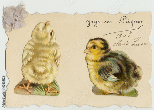 Two Chicks. Date: 1907