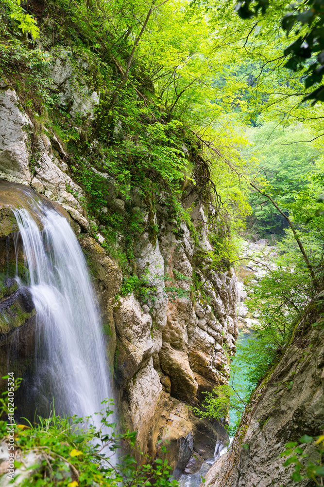 Mountain river waterfall in green