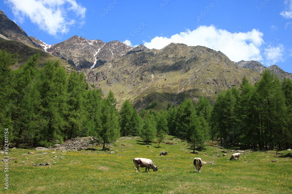 Pfossental, Südtirol