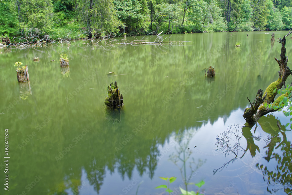 Fototapeta premium Romania Red Lake Area