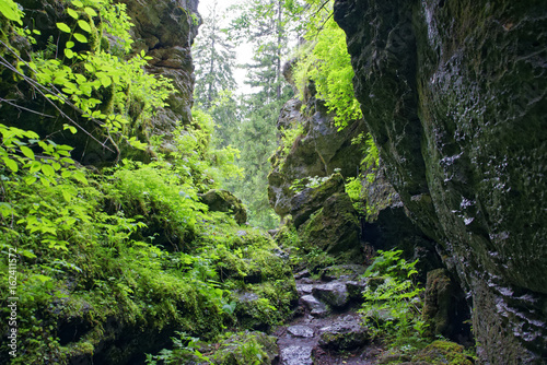 Romania Borsesc Region