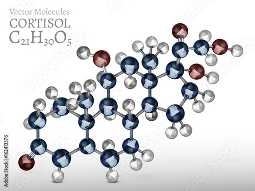 Cortisol Molecule Image
