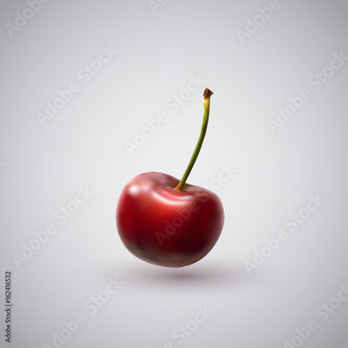 Cherry. Vector food illustration