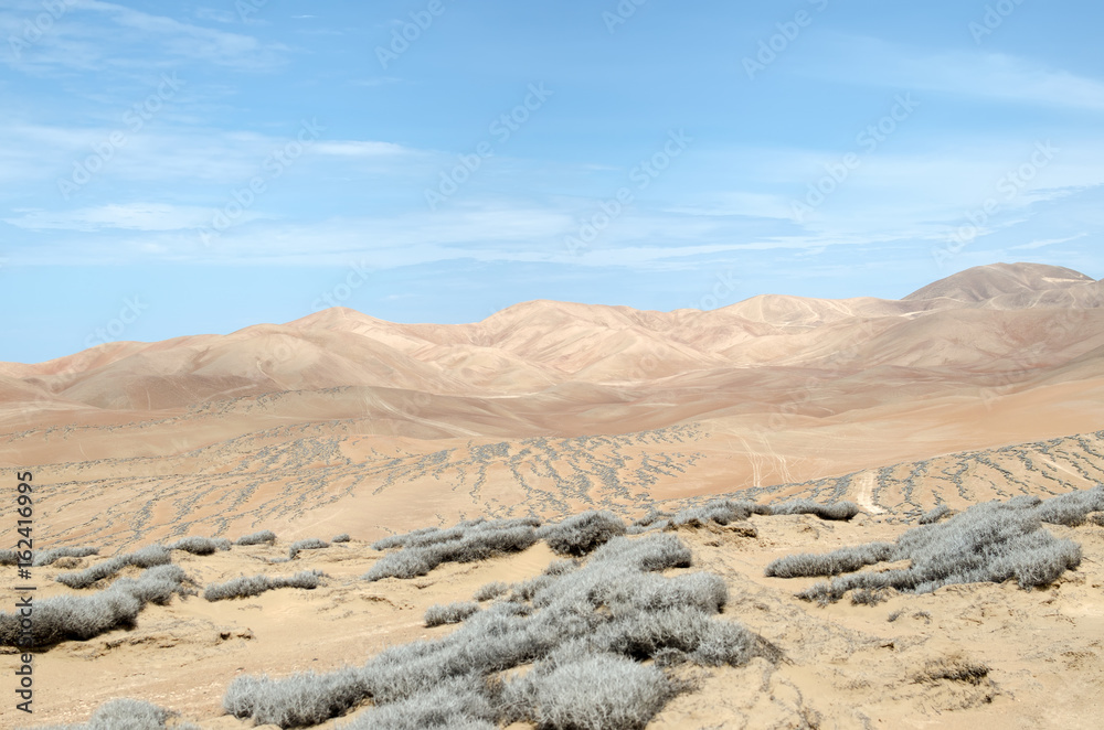 Dry lands of Chilean desert