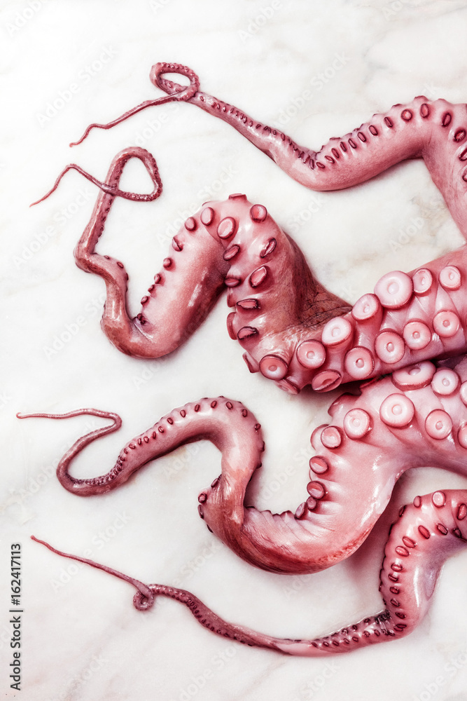 Overhead photo of octopus tentacles on white marble