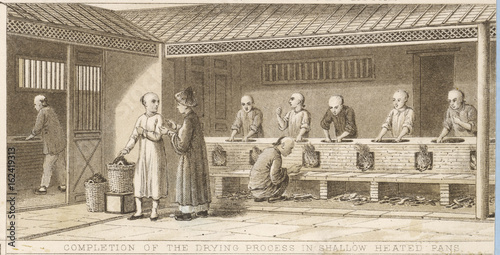 Chinese tea industry. Date: circa 1840