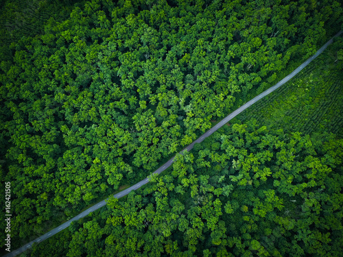 Fototapeta Road through the forest, view from height - aerial photo