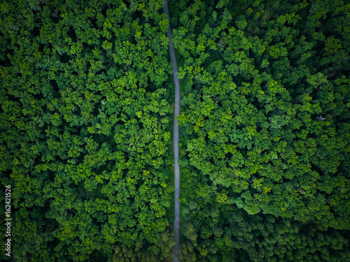 Road through the forest, view from height - aerial photo © vladstar