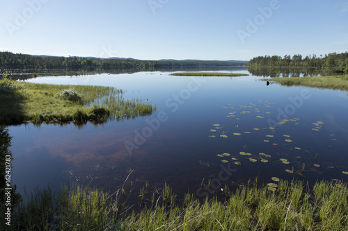 A view over a lake and a forest in the back in the northern part of Sweden