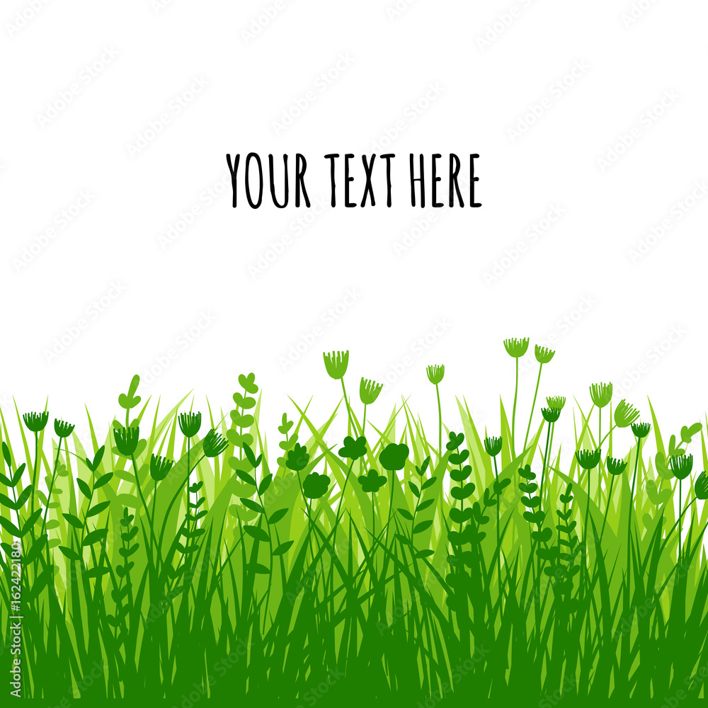 Summer green grass background for text. Vector eco, nature design
