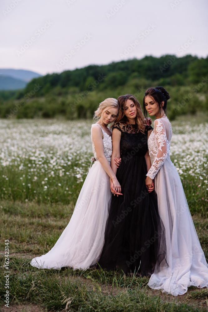 three beautiful girls brunette and blonde,brown-haired woman enjoying Daisy field,nice long dresses, pretty girl relaxing outdoor, having fun, happy young lady and Spring green nature, harmony concept three beautiful girls brunette and blonde,brown-haired woman enjoying Daisy field,nice long dresses, pretty girl relaxing outdoor, having fun, happy young lady and Spring green nature, harmony concept