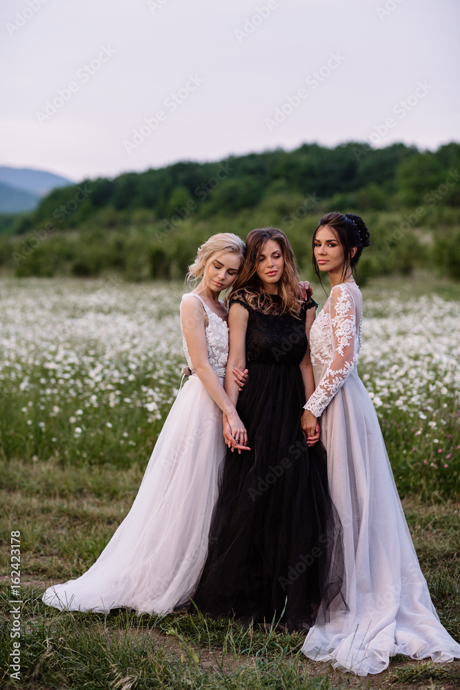 three beautiful girls brunette and blonde,brown-haired woman enjoying Daisy field,nice long dresses, pretty girl relaxing outdoor, having fun, happy young lady and Spring green nature, harmony concept