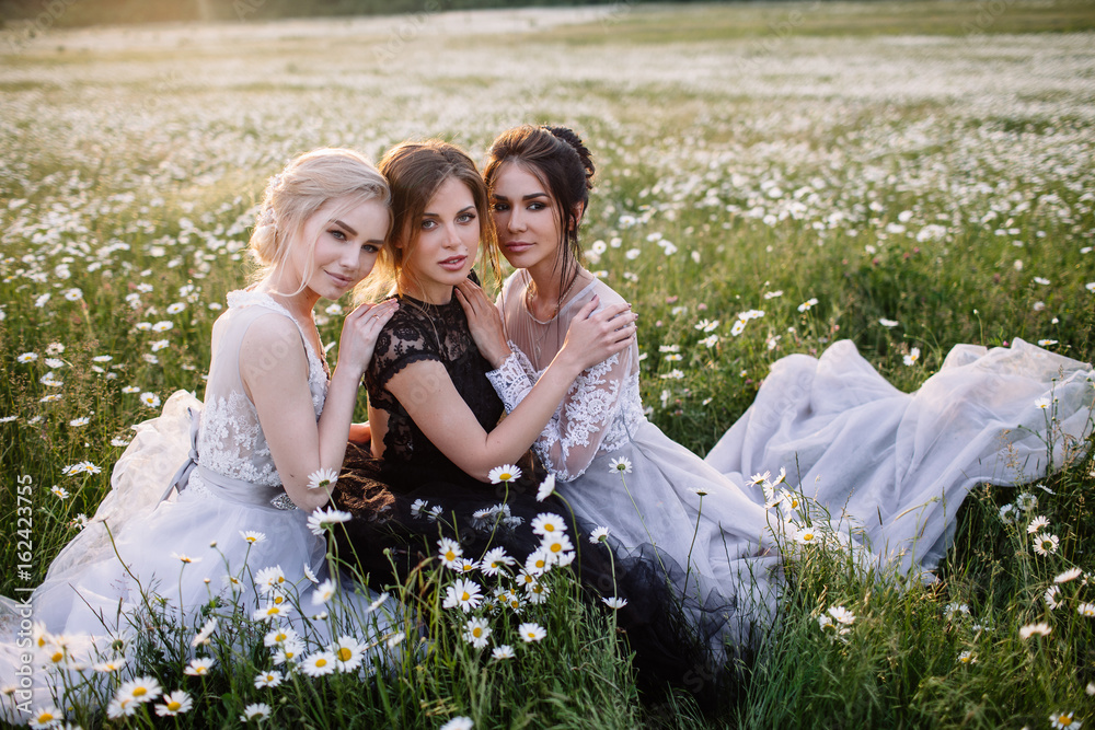 Fototapeta premium three beautiful girls brunette and blonde,brown-haired woman enjoying Daisy field,nice long dresses, pretty girl relaxing outdoor, having fun, happy young lady and Spring green nature, harmony concept