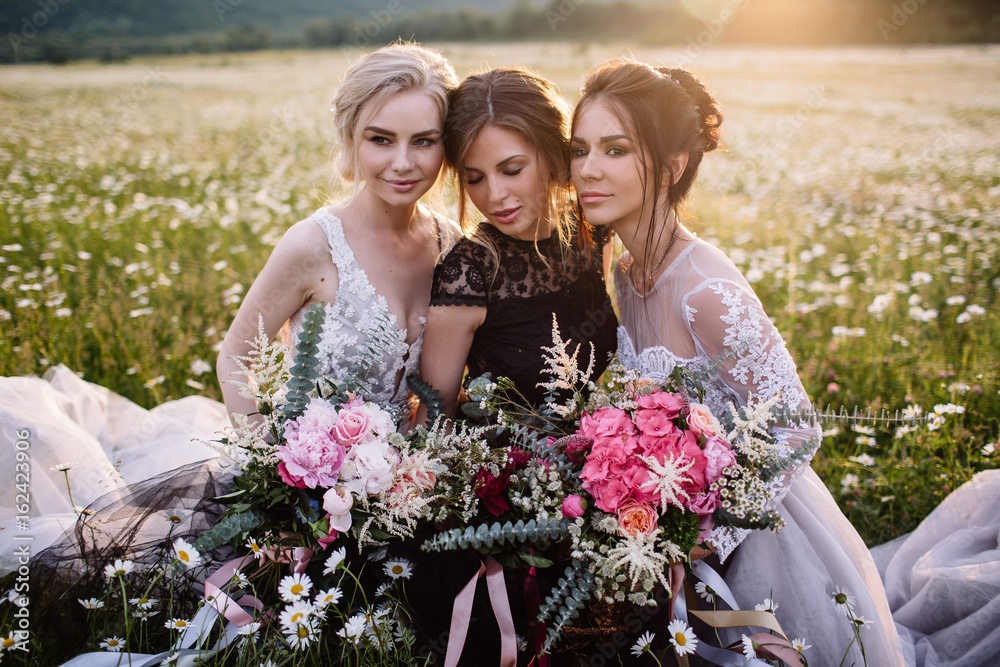 three beautiful girls brunette and blonde,brown-haired woman enjoying Daisy field,nice long dresses, pretty girl relaxing outdoor, having fun, happy young lady and Spring green nature, harmony concept